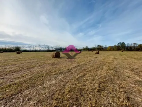 Prodaja, plac, 10400m², Koraćica, Mladenovac - image 7