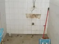 Prodaja, kuća, 60m², Majur, Jagodina - image 20