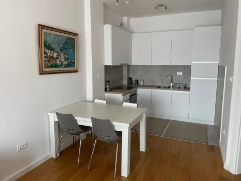 Rent, one bedroom apartment, 47m², Centar, Podgorica - image 4