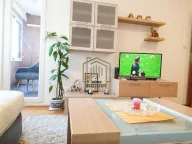 Izdavanje, jednosoban stan, 45m², Stari Aerodrom, Podgorica - image 4