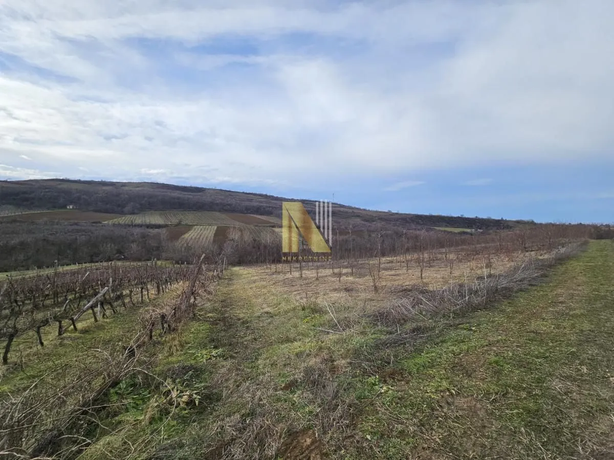 Prodaja, plac, 154m², Beočin, Srbija
