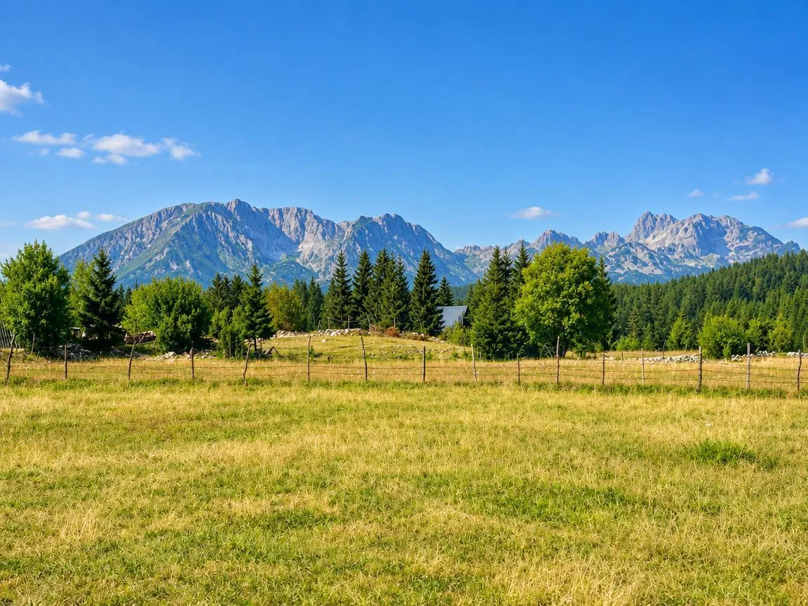 Pogled na planinski pejzaž sa livadom i šumom.