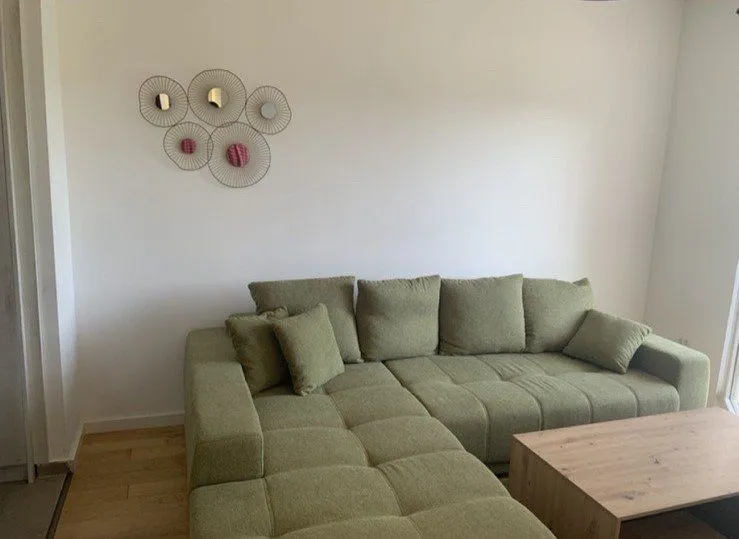 Izdavanje, jednosoban stan, 42m², Centar, Podgorica