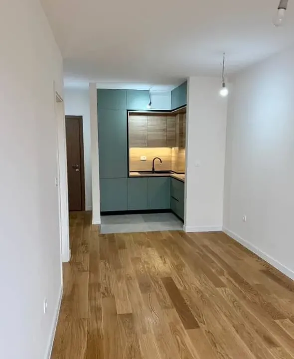 Izdavanje, jednosoban stan, 42m², Central Point, Podgorica