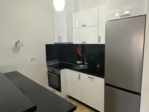 Izdavanje, jednosoban stan, 56m², Budva, Crna Gora - image 12