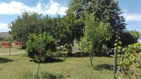Prostrano dvorište sa zelenilom i drvećem. - image 3