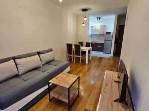 Izdavanje, jednosoban stan, 41m², Central Point, Podgorica