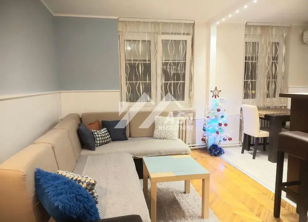 Izdavanje, dvosoban stan, 45m², Centar, Novi Sad