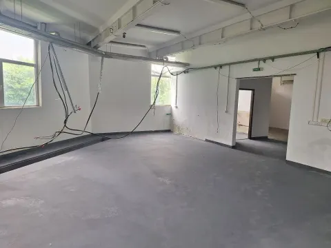 Izdavanje, poslovni prostor, 700m², Zemun Sve Podlokacije, Beograd - image 4