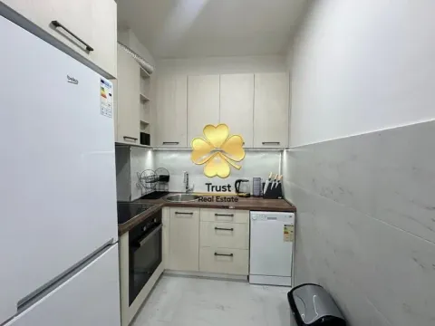 Izdavanje, jednosoban stan, 50m², Vezirov Most, Podgorica - image 8