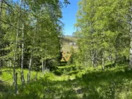 Sale, land lot, 470m², Borje, Žabljak - image 6