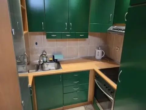 Izdavanje, jednosoban stan, 47m², Grbavica, Novi Sad Sve Podlokacije - image 8