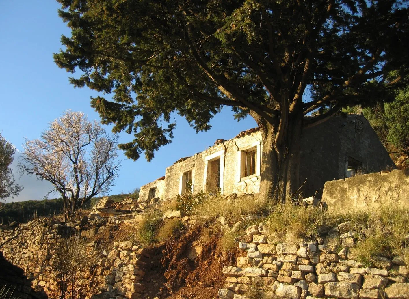 Prodaja, plac, 9500m², Budva, Crna Gora