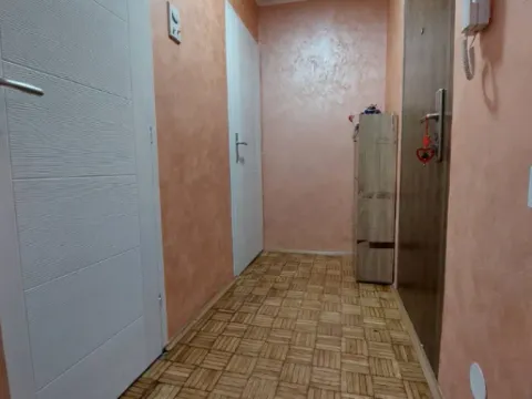 Prodaja, jednosoban stan, 31m², Detelinara, Novi Sad Sve Podlokacije - image 4