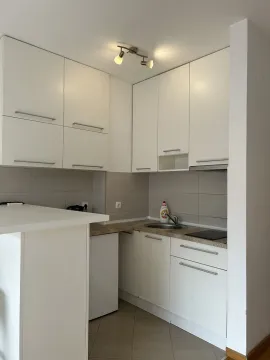 Mala kuhinja sa bijelim elementima i šankom. - image 6