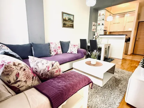 Izdavanje, jednosoban stan, 42m², Ljubović, Podgorica - image 2