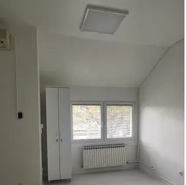 Izdavanje, poslovni prostor, 400m², Zemun Sve Podlokacije, Beograd - image 7