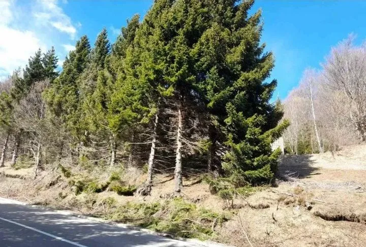 Prodaja, plac, 4200m², Raška, Srbija