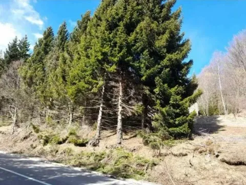 Prodaja, plac, 4200m², Raška, Srbija - image 7