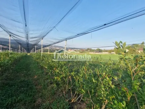 Prodaja, plac, 31670m², Sopot, Beograd - image 2