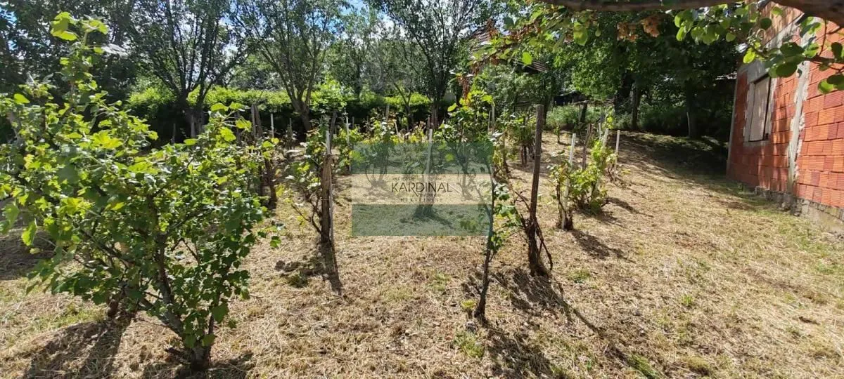 Prodaja, kuća, 250m², Crnče, Jagodina