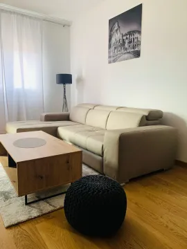 Izdavanje, jednosoban stan, 48m², City Kvart, Podgorica - image 10