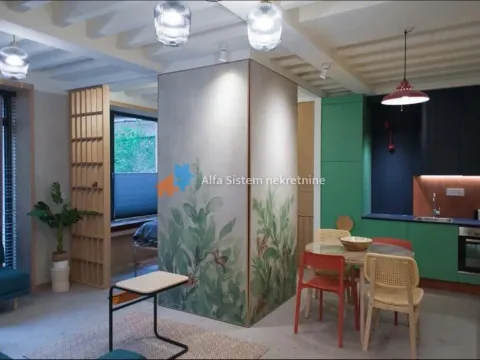 Rent, two bedroom apartment, 50m², Slavija, Vračar Sve Podlokacije - image 11
