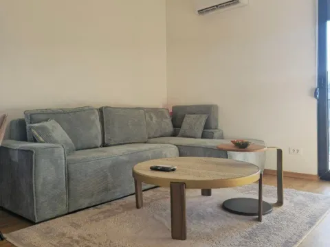 Izdavanje, jednosoban stan, 46m², Zabjelo, Podgorica - image 4