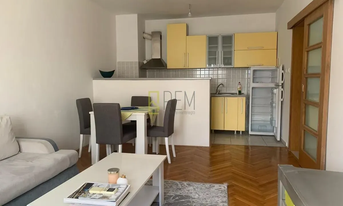 Izdavanje, jednosoban stan, 45m², Stari Aerodrom, Podgorica