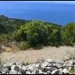 Prodaja, plac, 437m², Zagora, Kotor - image 6