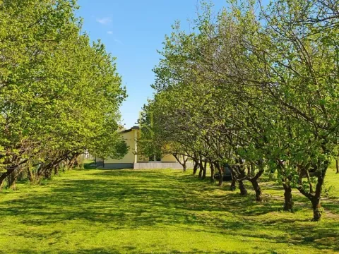 Sale, house, 132m², Ćurilac, Danilovgrad - image 12