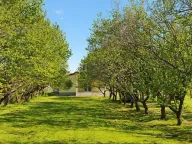 Sale, house, 132m², Ćurilac, Danilovgrad - image 12