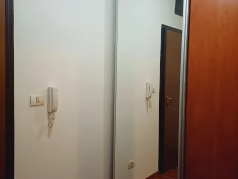 Izdavanje, jednosoban stan, 54m², City Kvart, Podgorica - image 4