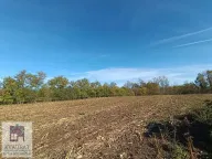 Prodaja, kuća, 70m², Obrenovac, Beograd - image 14