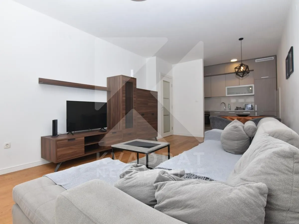 Izdavanje, jednosoban stan, 49m², Central Point, Podgorica