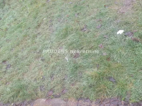 Prodaja, plac, 500m², Surčin, Beograd - image 3