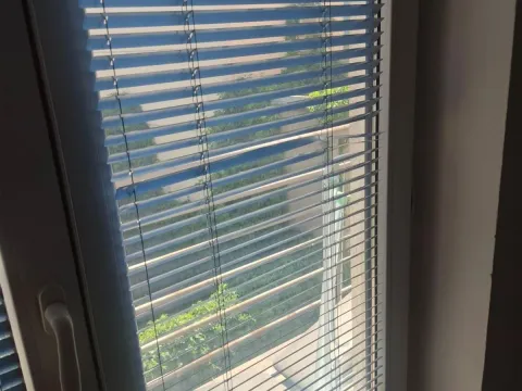 Izdavanje, jednosoban stan, 37m², Vračar Sve Podlokacije, Beograd - image 2