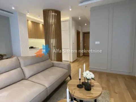 Izdavanje, dvosoban stan, 45m², Južni Bulevar, Vračar Sve Podlokacije - image 3