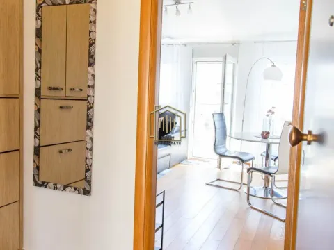 Izdavanje, jednosoban stan, 46m², Blok 9, Podgorica - image 11