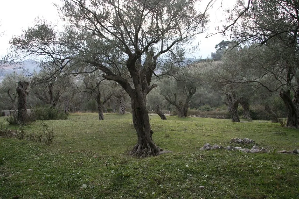 Sale, land lot, 750m², Stari Bar, Bar