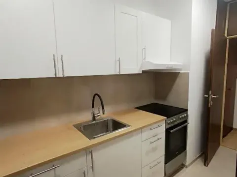 Rent, one bedroom apartment, 54m², Višnjička Banja, Palilula Sve Podlokacije - image 5