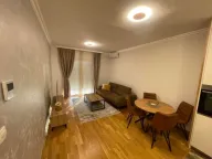 Izdavanje, jednosoban stan, 550m², Ljubović, Podgorica - image 3