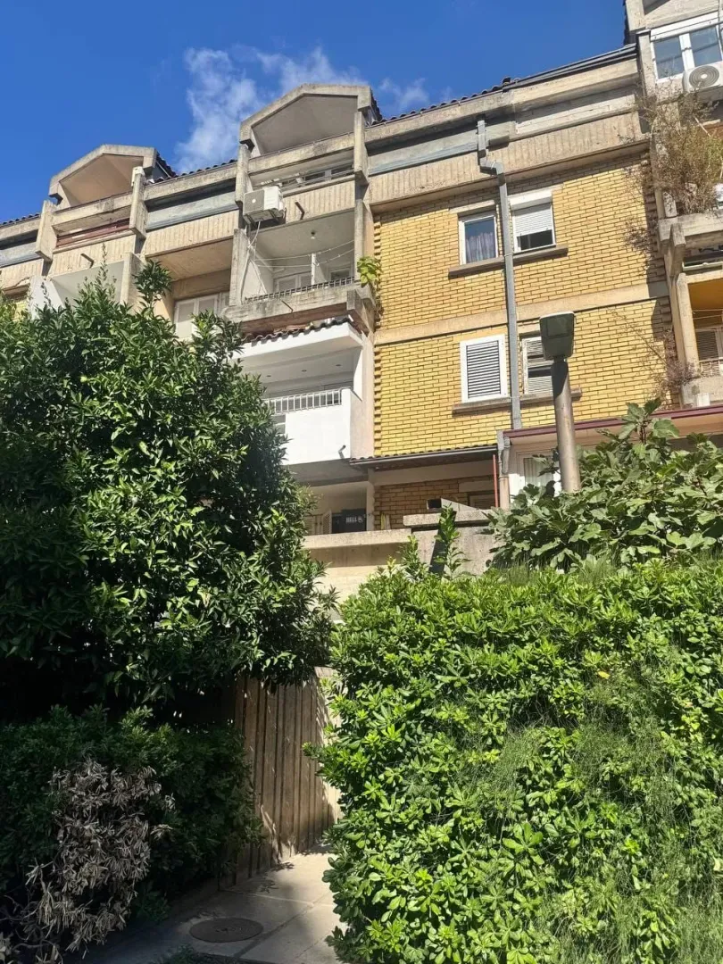 View of the exterior of the residential building and a courtyard full of greenery.
