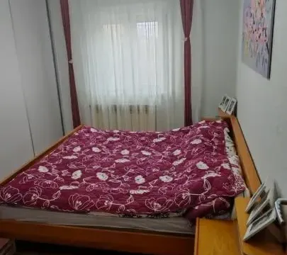 Sale, four bedroom apartment, 88m², Veternik, Novi Sad Sve Podlokacije - image 6