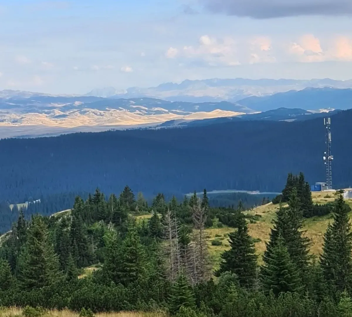 Prodaja, plac, 40000m², Žabljak, Crna Gora