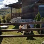 Prodaja, kuća, 87m², Pošćenski Kraj, Žabljak - image 18