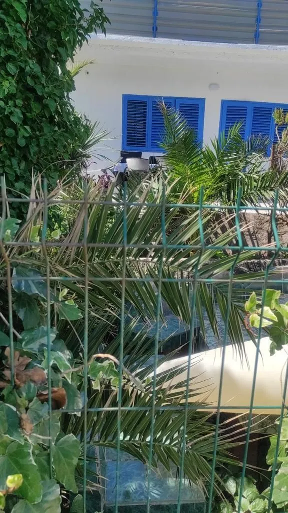 Sale, house, 387m², Đuraševići, Tivat