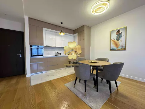 Izdavanje, jednosoban stan, 57m², Kod Capital Plaze, Podgorica - image 8