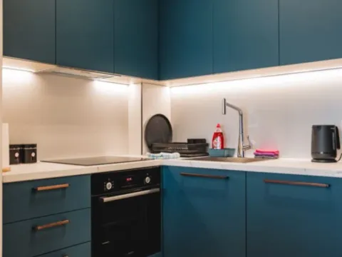 Rent, one bedroom apartment, 45m², Dobre Vode, Bar - image 9