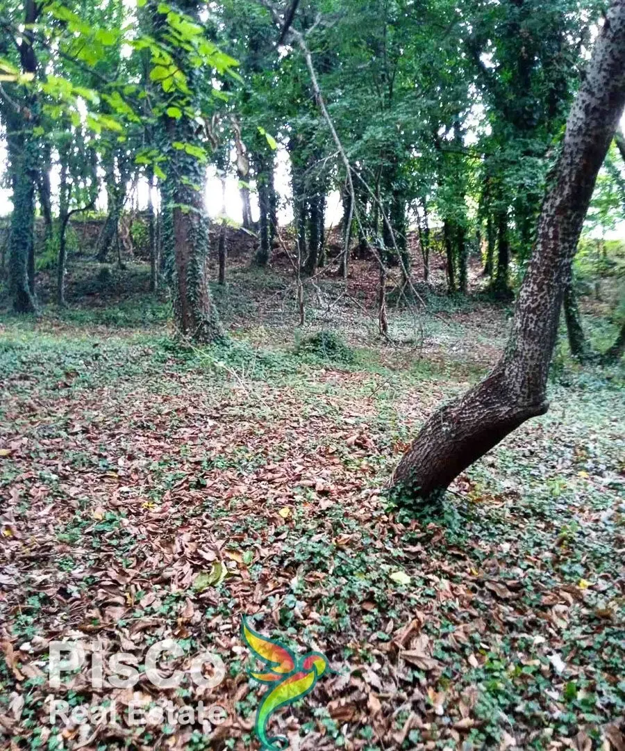 Prodaja, plac, 4700m², Danilovgrad, Crna Gora